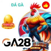 788bet Game 04